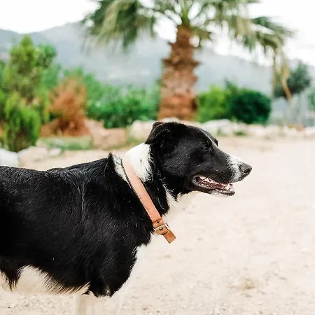 Eco Farm Boutique 农家乐 图尔古特雷斯