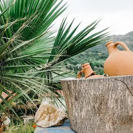 Eco Farm Boutique 图尔古特雷斯