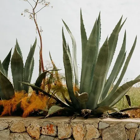 Eco Farm Boutique Alloggio per agriturismo *