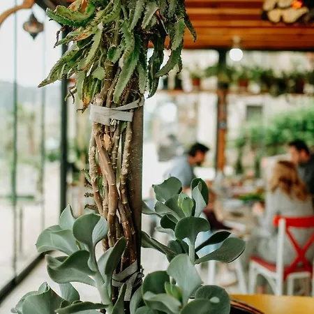 Eco Farm Boutique Farm stay Turgutreis