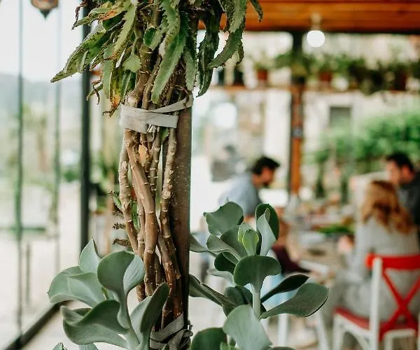 Eco Farm Boutique Gospodarstwo agroturystyczne Turgutreis