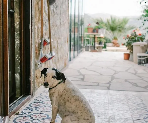 Eco Farm Boutique Séjour à la ferme Turgutreis
