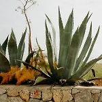 Eco Farm Boutique Κατάλυμα σε φάρμα *