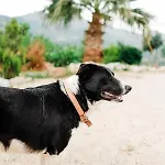 Eco Farm Boutique Κατάλυμα σε φάρμα Turgutreis