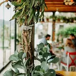 Eco Farm Boutique Κατάλυμα σε φάρμα Turgutreis