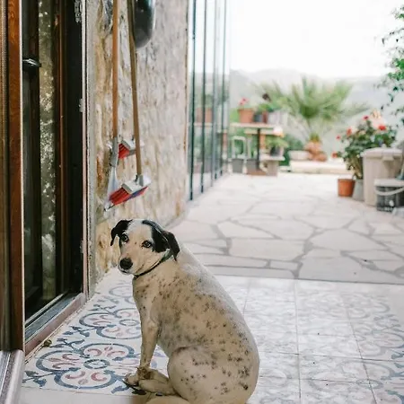 Eco Farm Boutique Alojamento de Turismo Rural Turgutreis