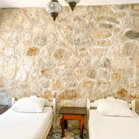 Alojamento de Turismo Rural Eco Farm Boutique